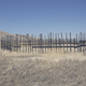 Illustration for article titled Inside Californias Forgotten Grasslands